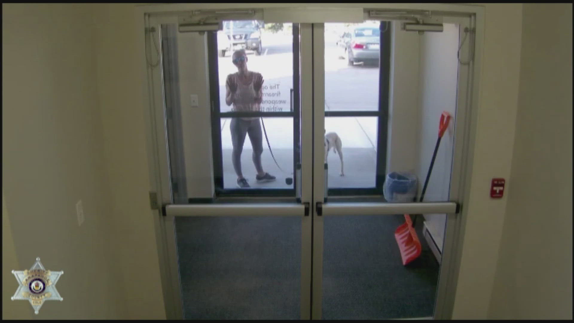 The Arapahoe County Sheriff's Office released surveillance video showing a woman trying to smash her way into Centennial Animal Services.