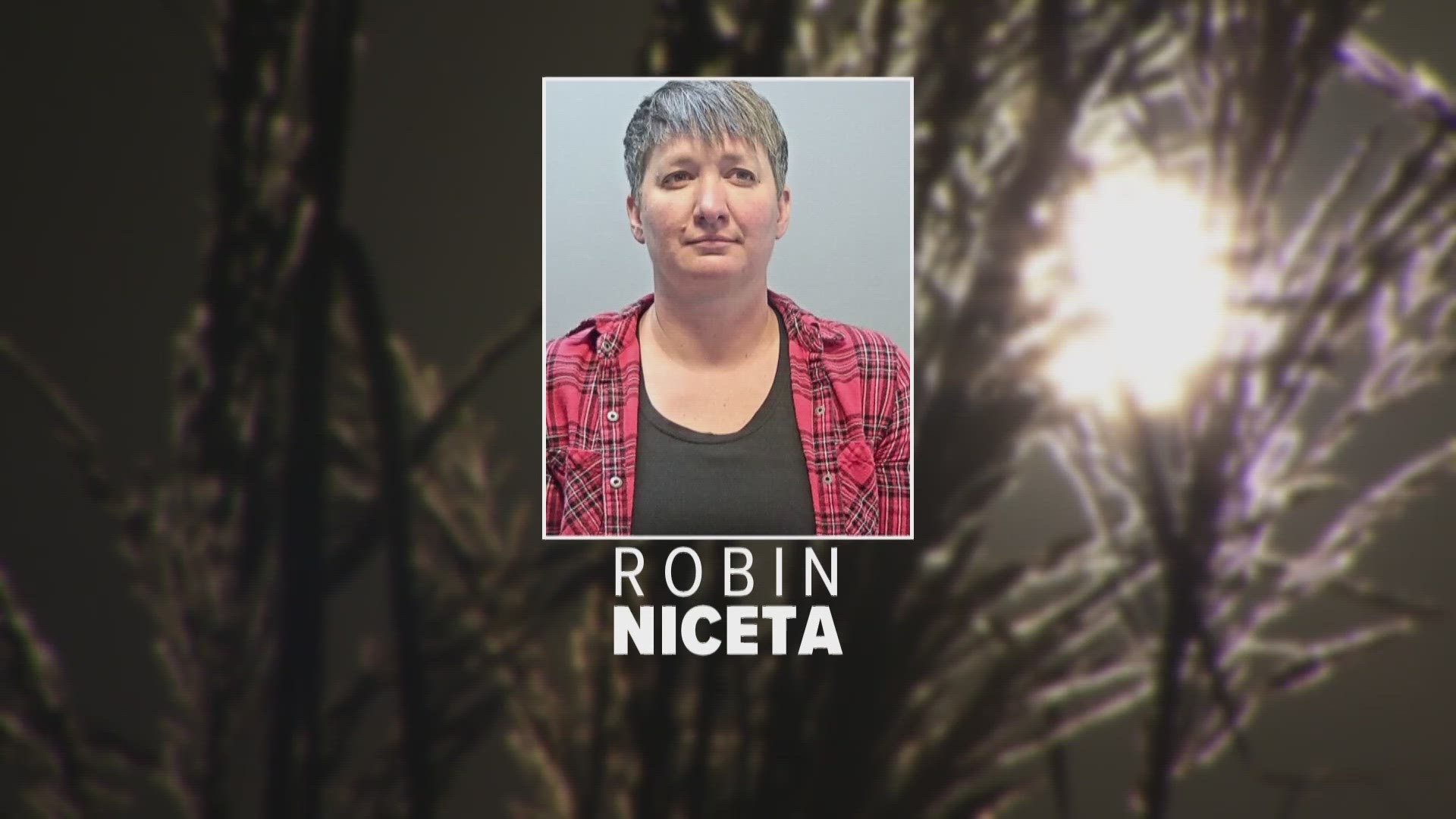 Prosecutors said MRI photos provided by Robin Niceta were "stock images" and they were unable to find the doctor who signed her medical records.