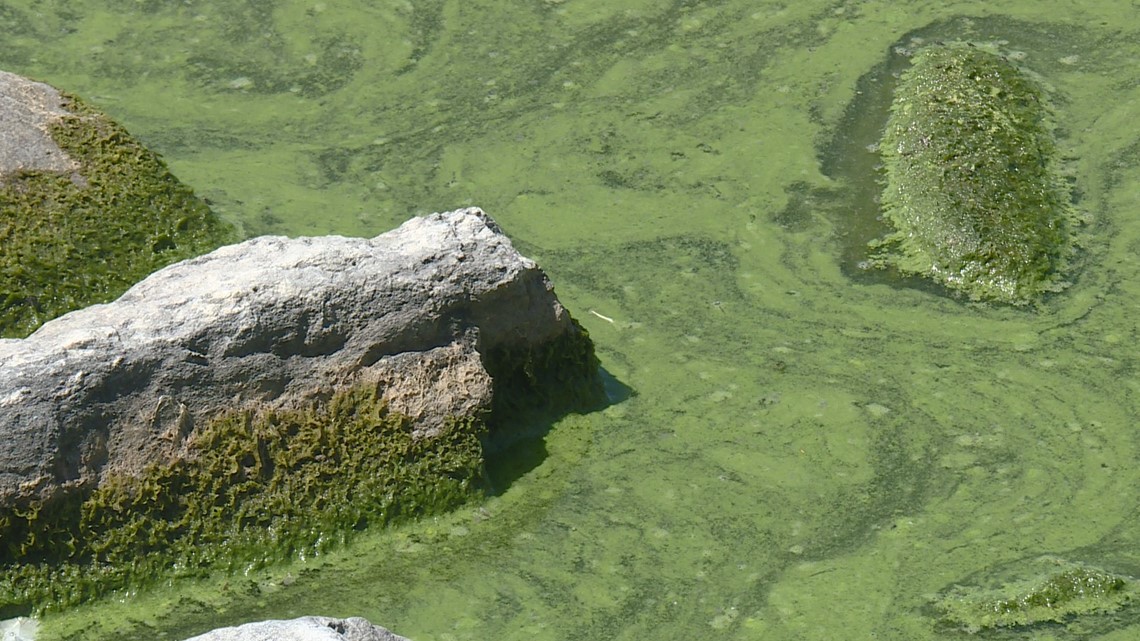 Blue-green algae danger closes down Sloan's Lake | 9news.com