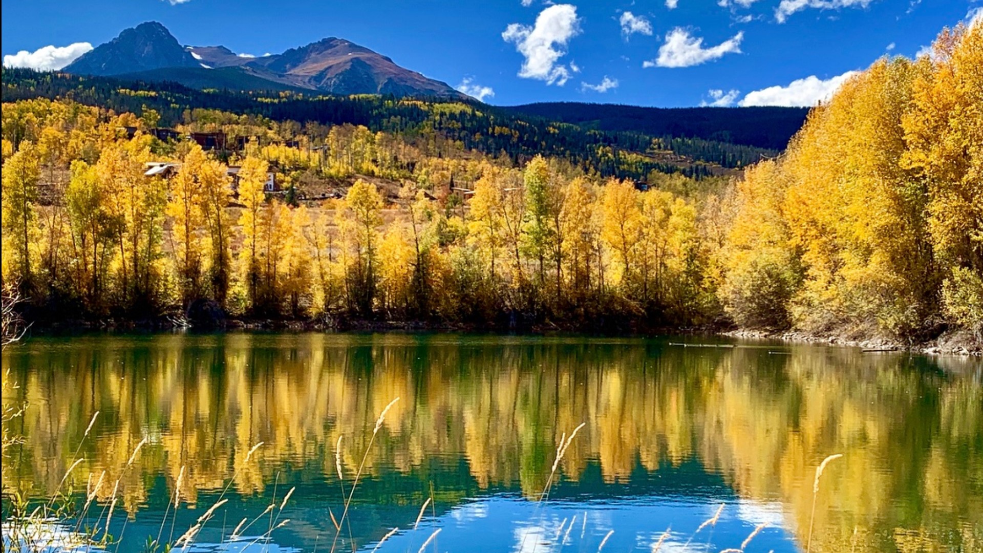 Colorado fall colors: When and where leaves will peak in 2020  9news.com