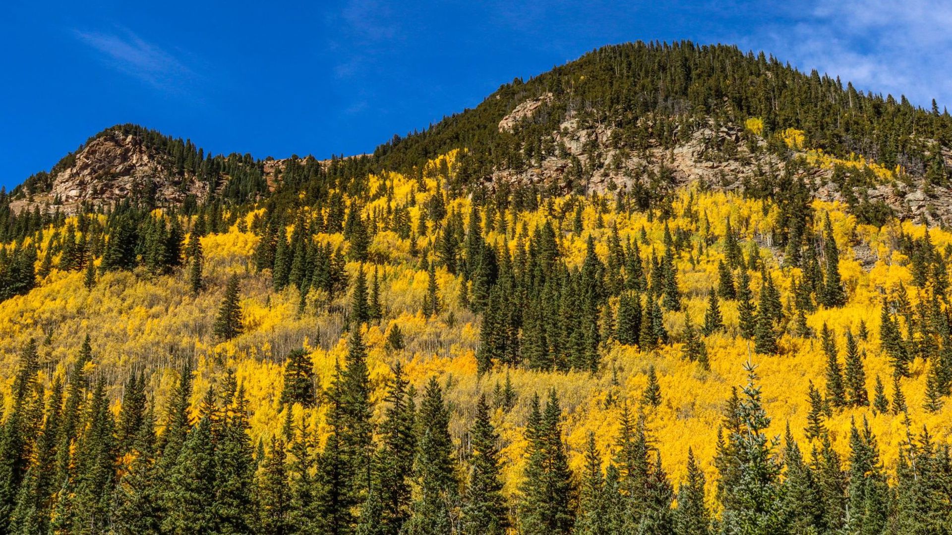 Here are the 9 best drives to see fall colors in Colorado | 9news.com