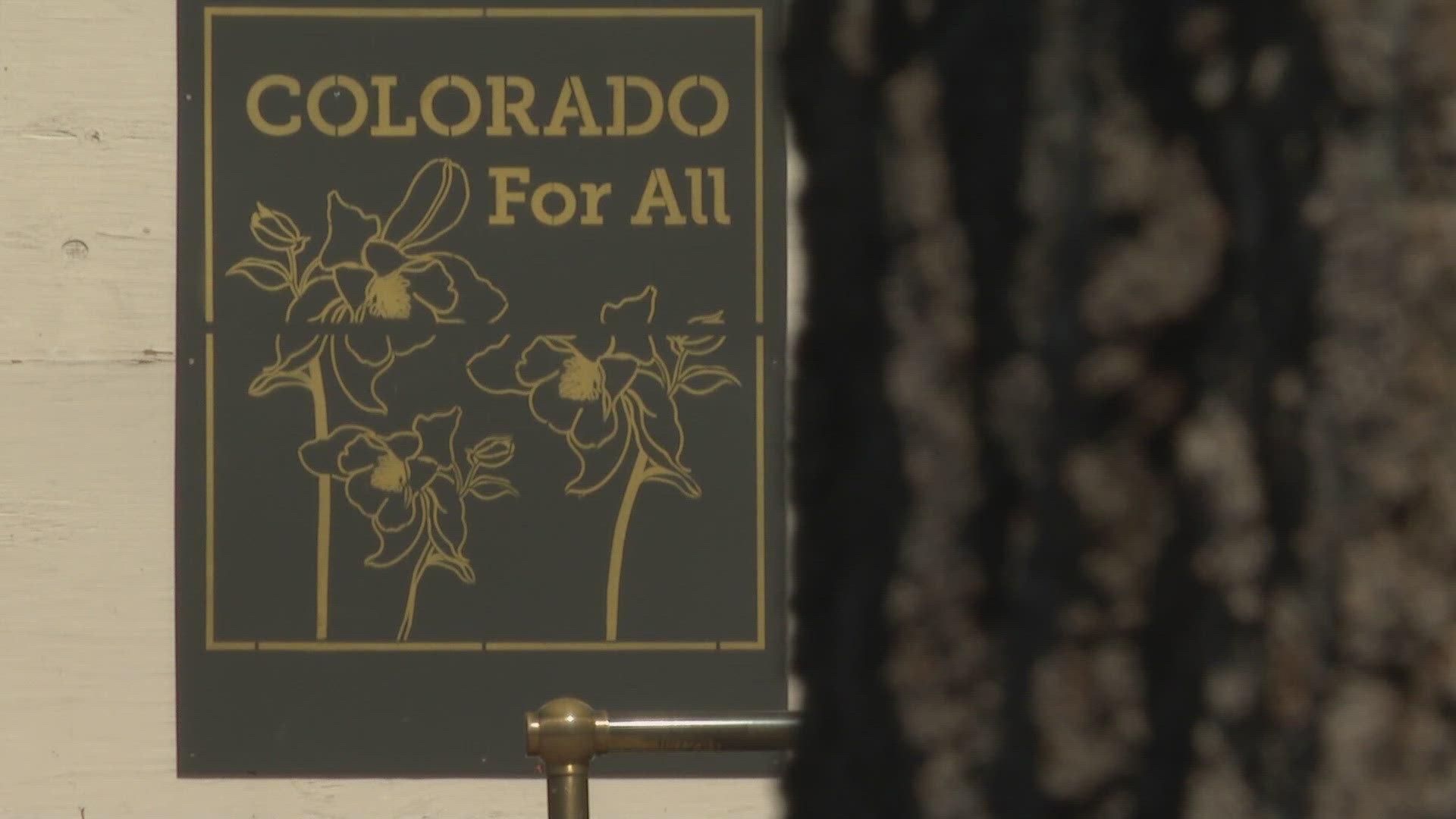 Some of the largest Latino organizations in Colorado are endorsing Amendment 79, which would protect abortion rights in the state.