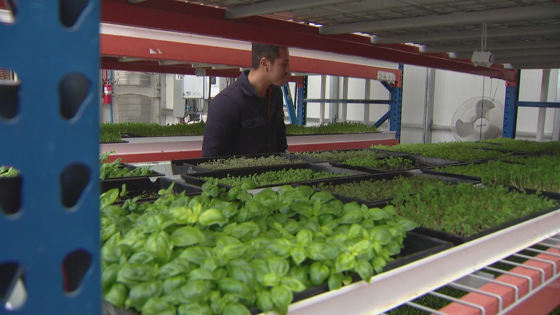 Only a fraction of Colorado farms are Hispanic-owned. 9NEWS reporter Cole Sullivan introduces us to one farmer who thinks he has a solution to accessibility.