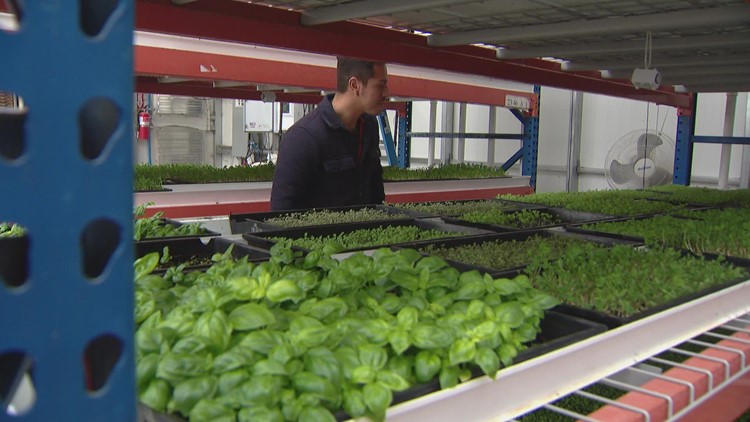 Colorado farmer creates solution for new farmers of color starting businesses