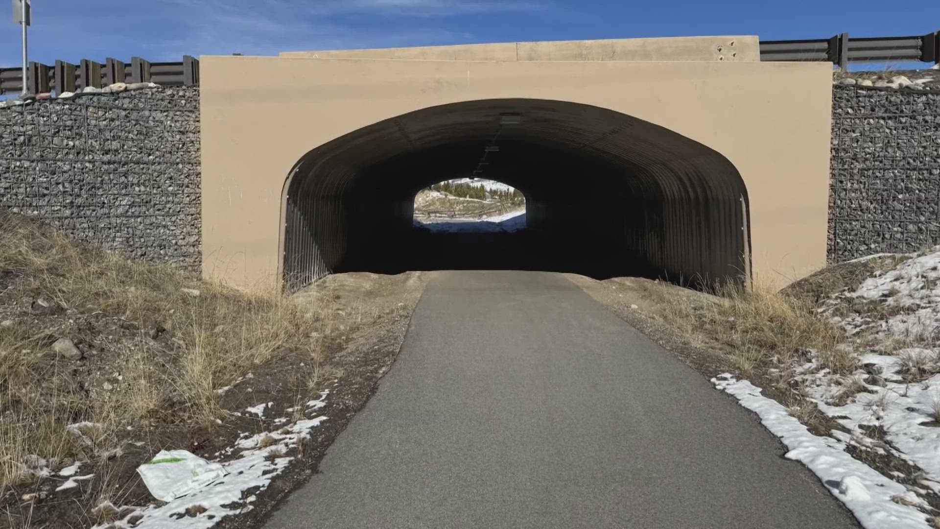 The Frisco Arts and Culture Committee will select an artist to paint a mural in a tunnel people use to cross Highway 9 to the Frisco Peninsula Recreation Area.