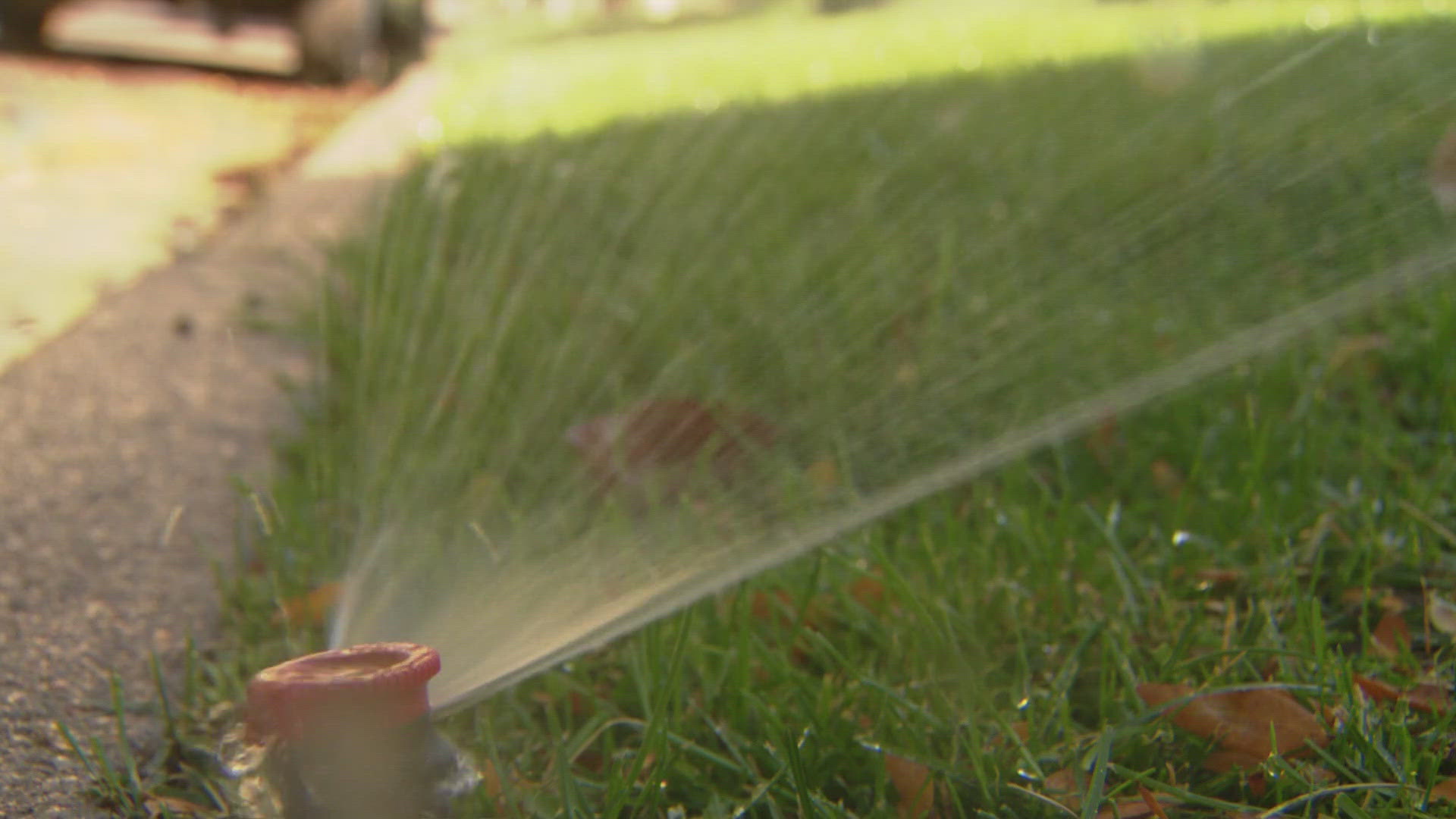 Denver Water says a switch from watering your lawn on Mondays, Wednesdays and Fridays to other days can make the difference on the future of our water systems.