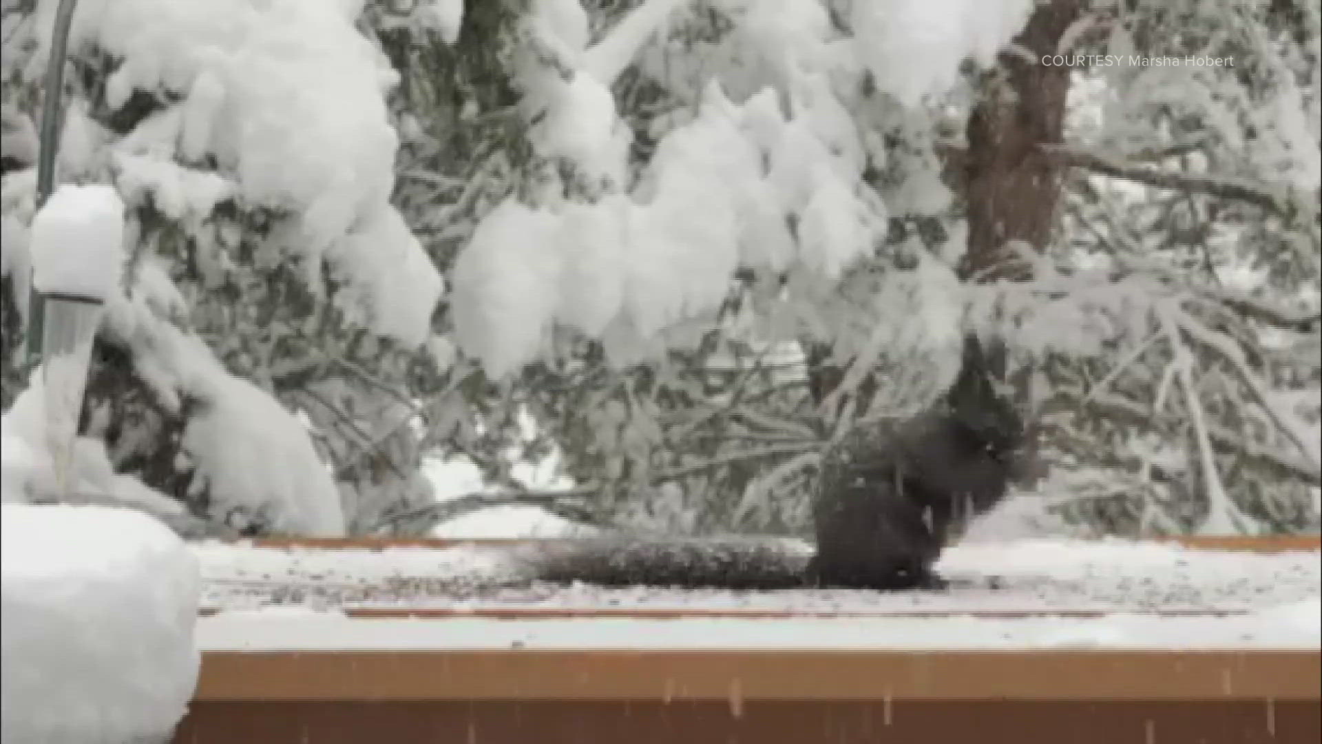 Marsha Hobert shared this video from Glen Haven, near Rocky Mountain National Park.