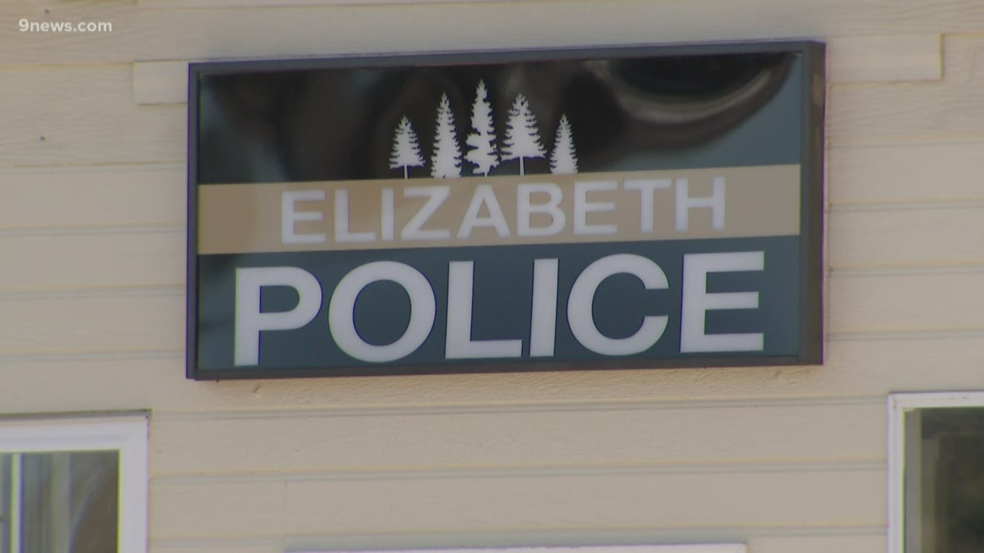 An expert said he was surprised the Department of Homeland Security contacted Elizabeth Police when it detected a specific threat to a high school.