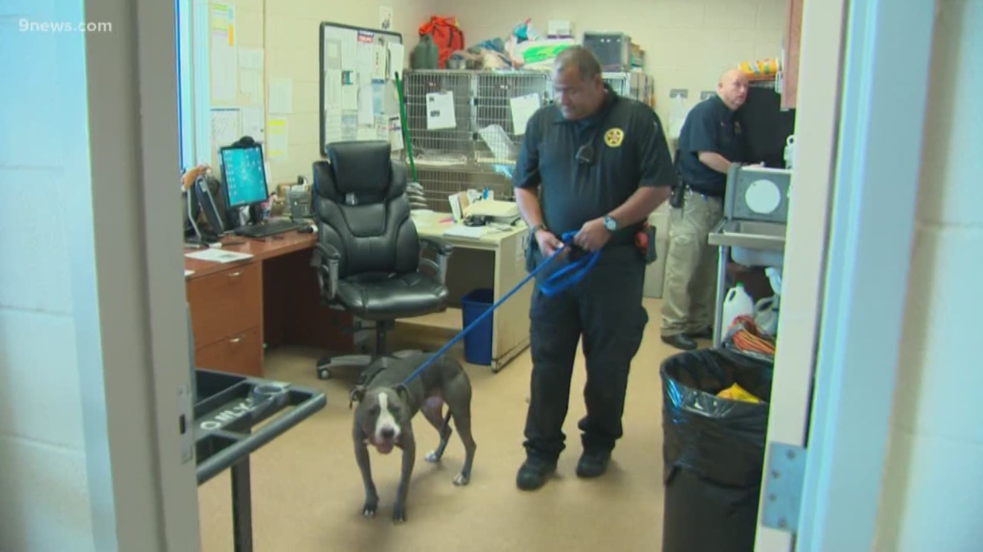 "We've come a long way from the time when these dogs were associated with gangs and dog fighting," City Councilman Charlie Richardson said.