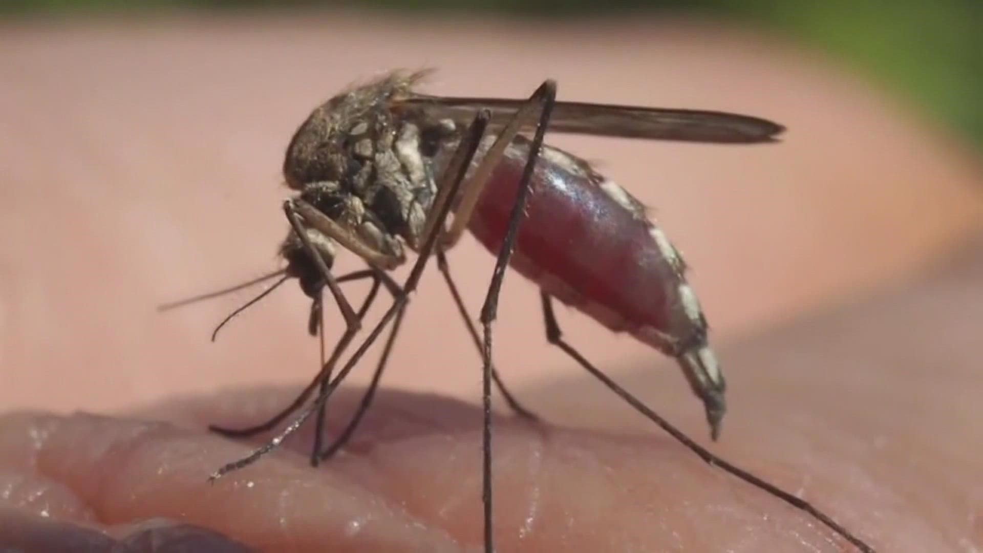 West Nile Virus in Colorado First human case of year
