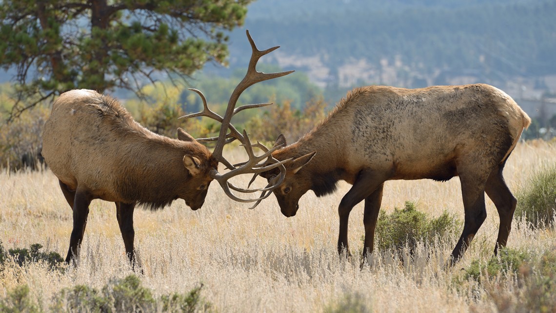 9 Things to do in Denver & Colorado this weekend September 2729