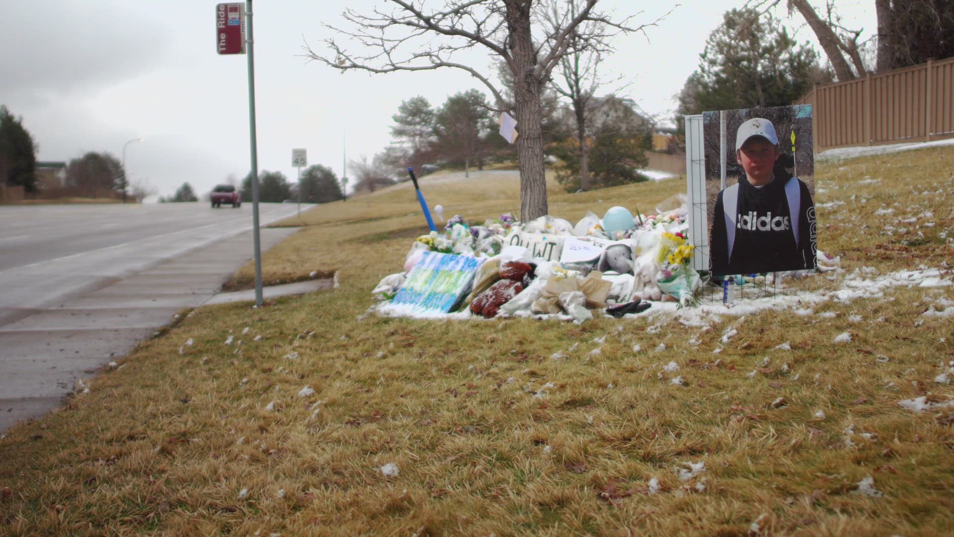 The auto-pedestrian crash happened at Highlands Ranch Parkway and Venneford Ranch Road in Highlands Ranch, the Douglas County Sheriff's Office said.