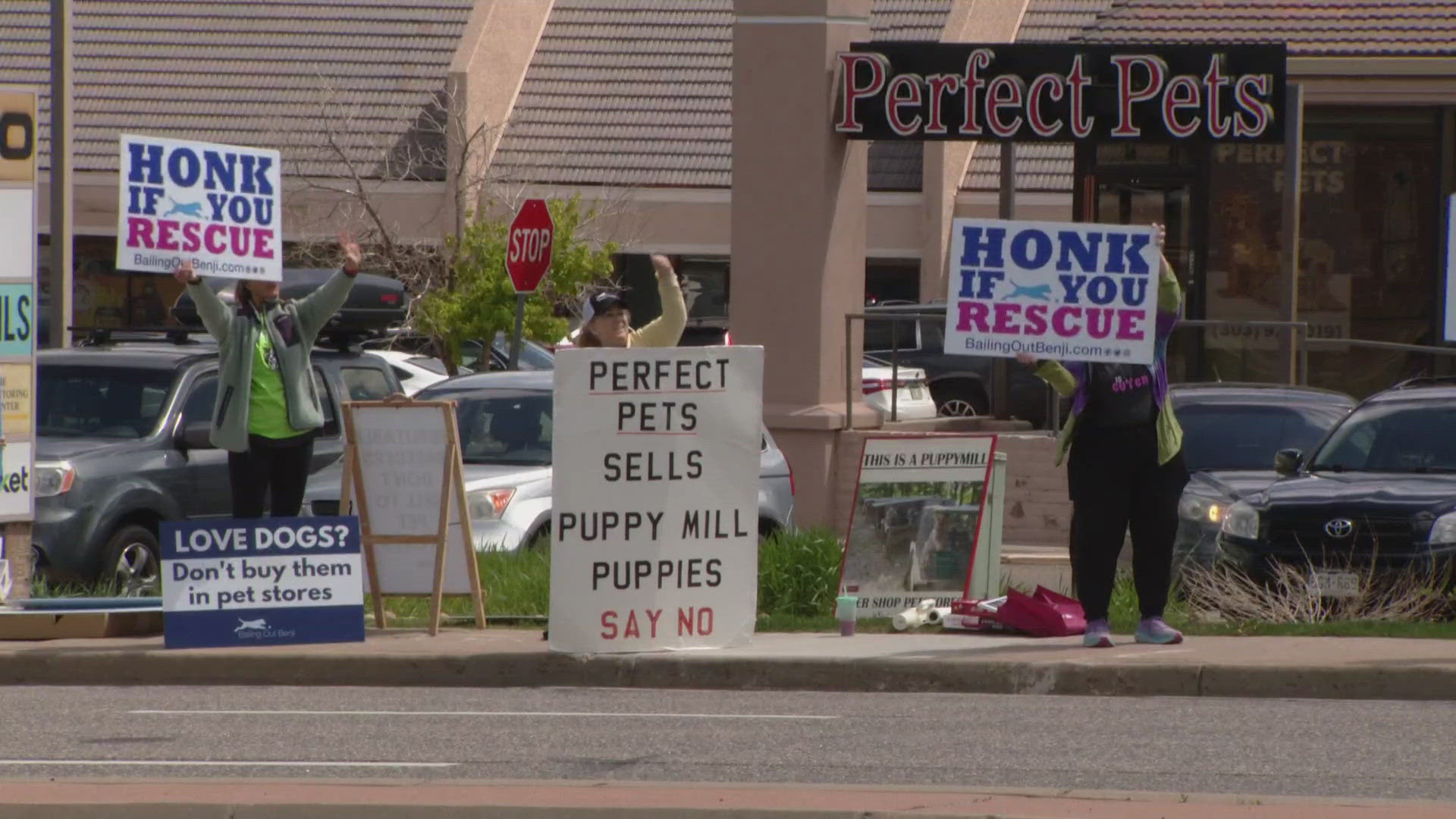 A group is calling for Colorado pet stores to stop sourcing puppies from out-of-state breeders.
