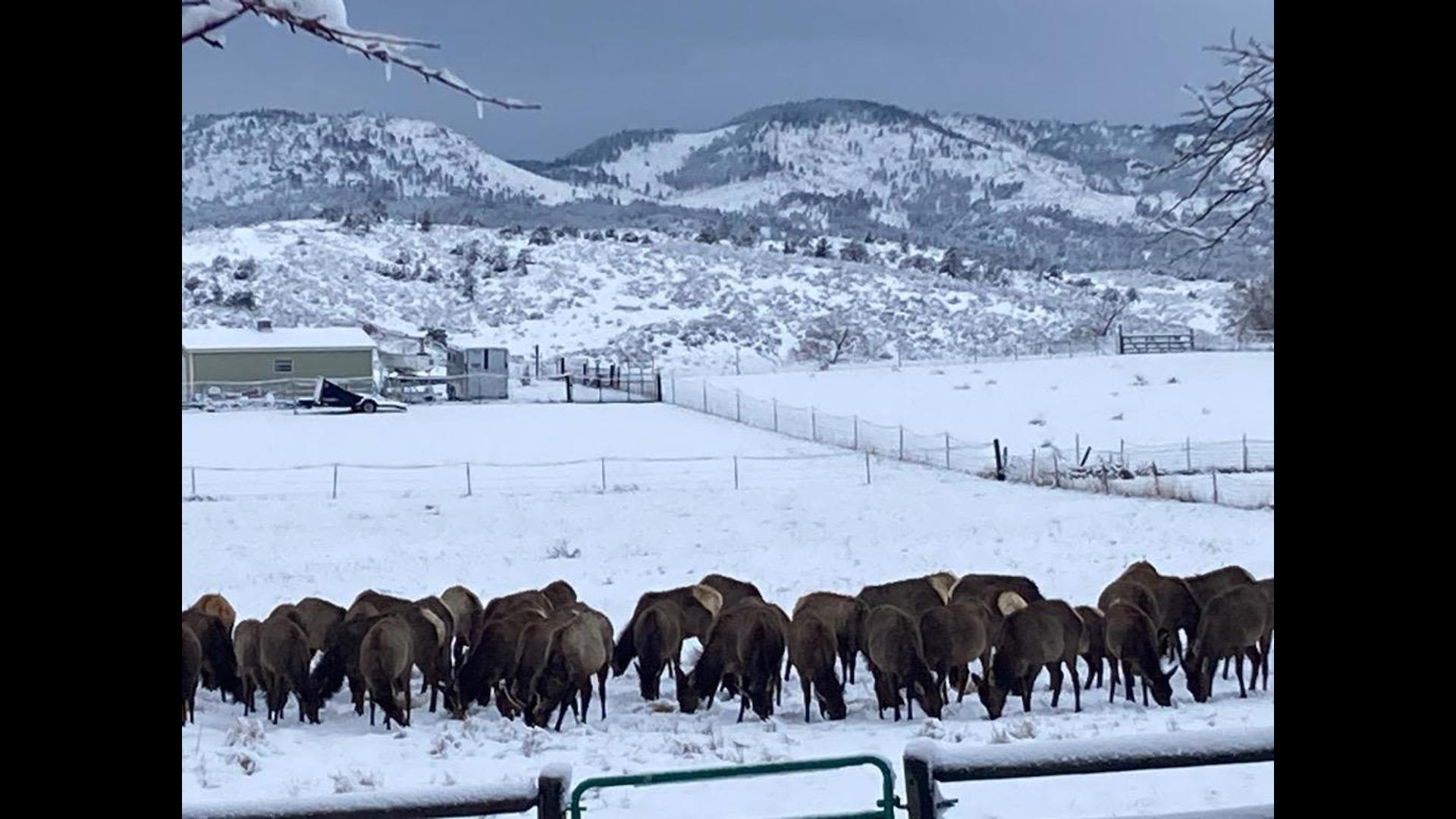 How Much Snow is Expected in Colorado? Brace Yourself for Winter Wonderland!