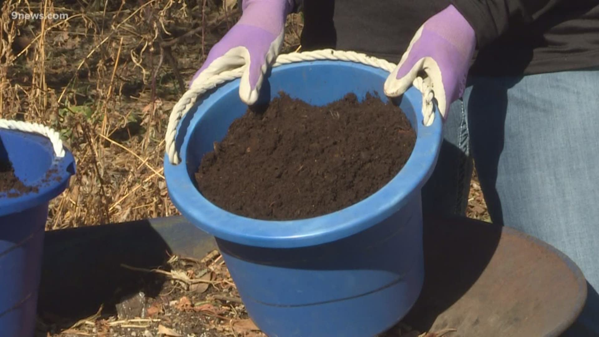 The secret to a perfect garden? Cow manure.