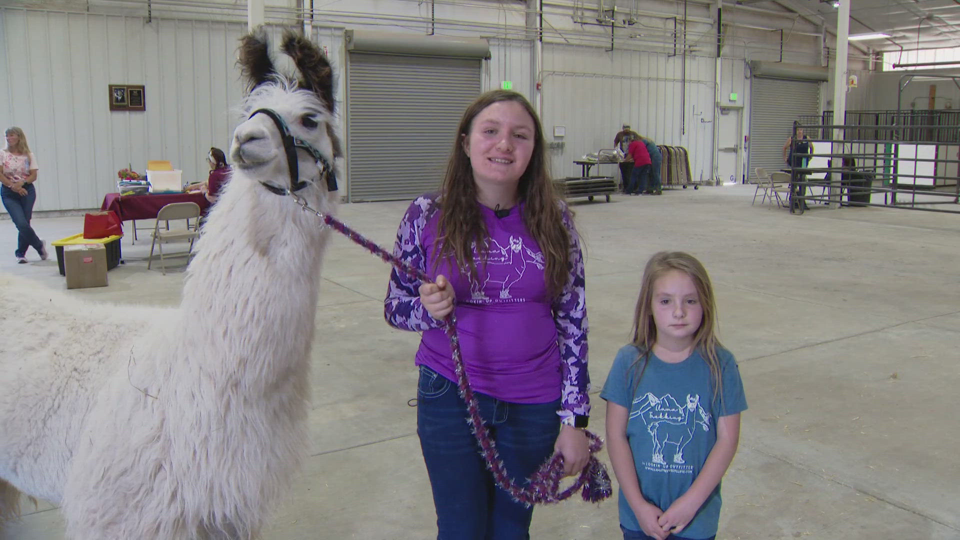 The FallamaFest is at the Douglas County Fairgrounds in Castle Rock from Sept. 27-29.