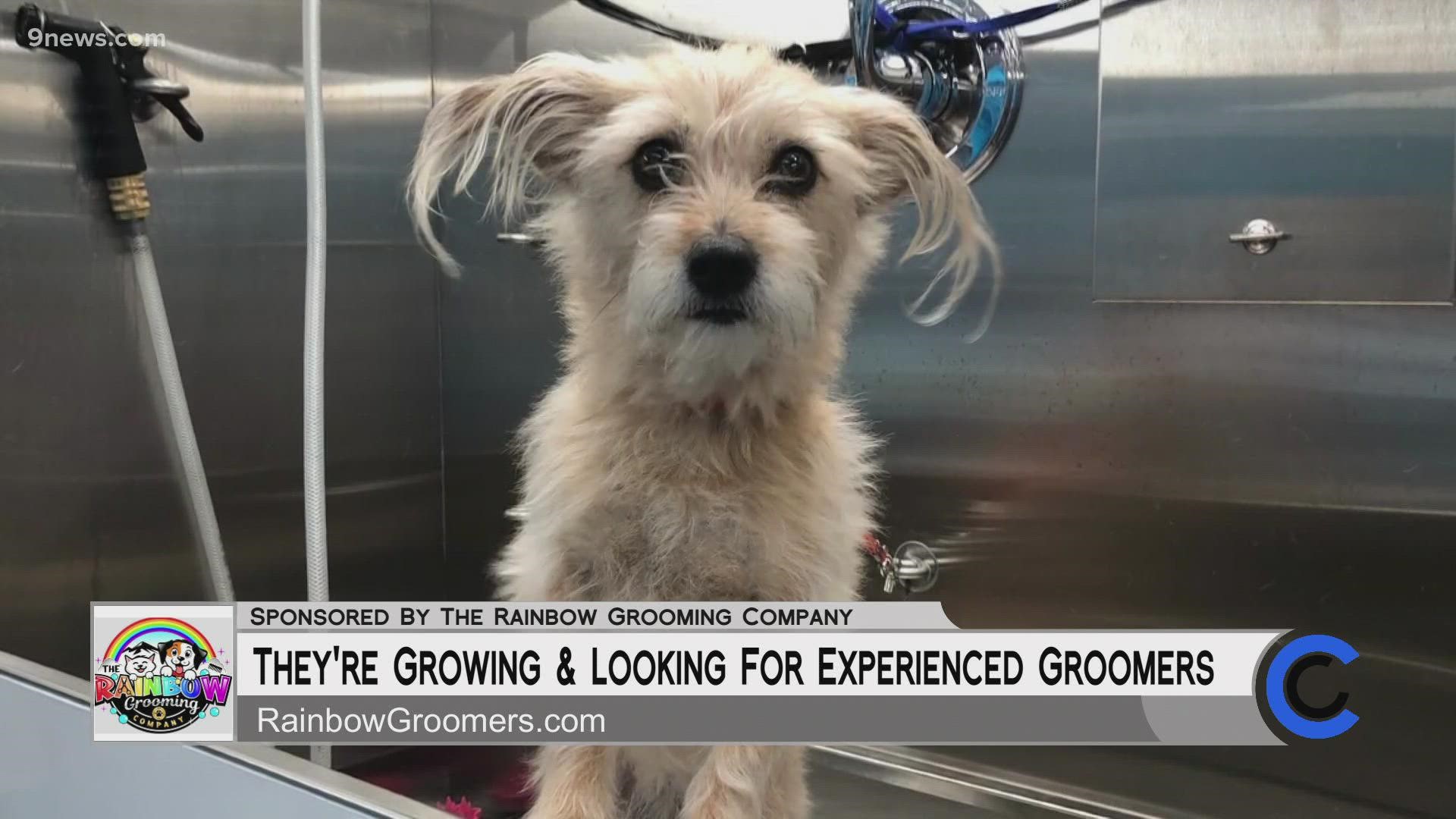 Visit RainbowGroomers.com to schedule your pet's next grooming session. **PAID CONTENT**