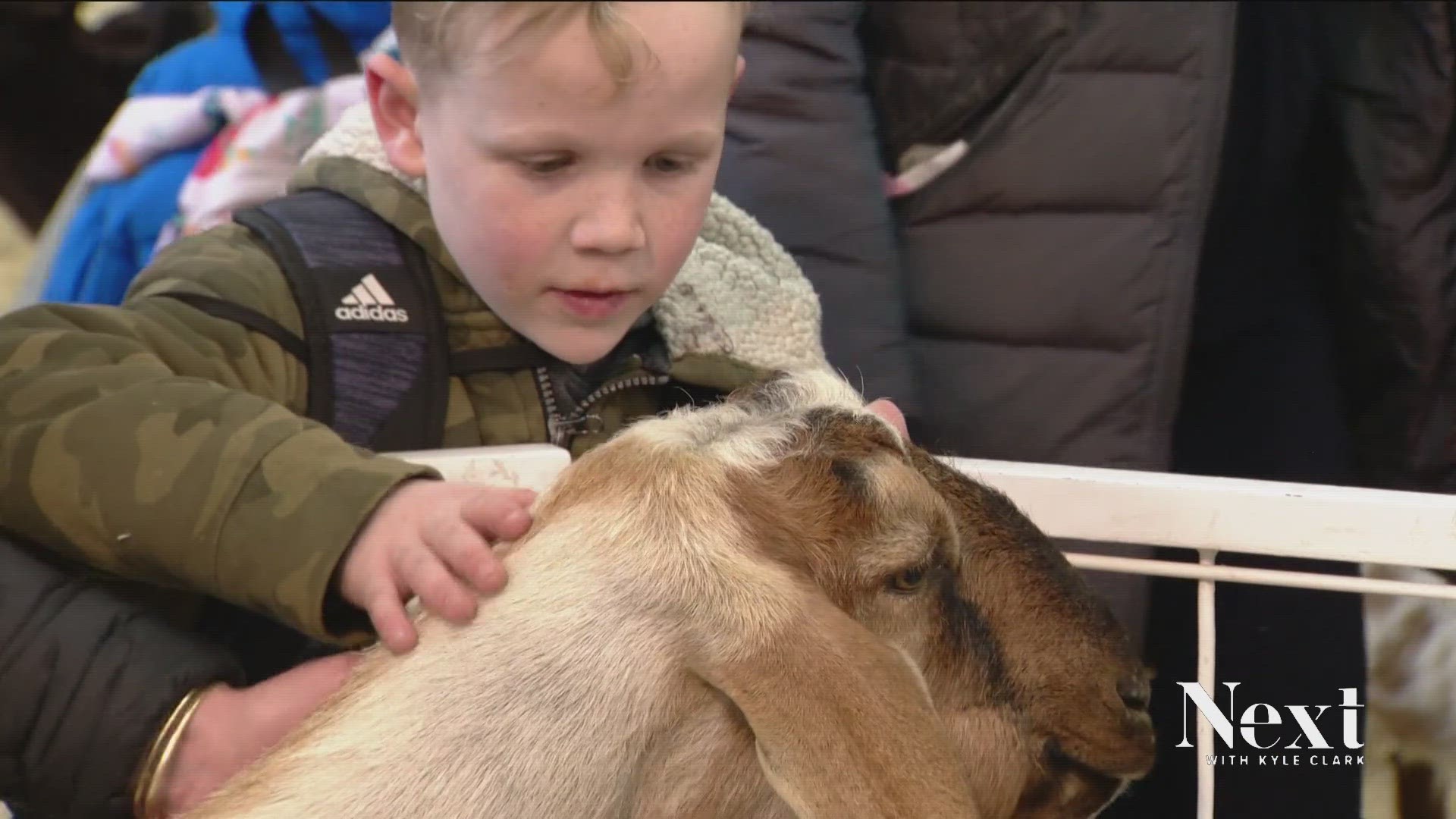 Today marks 7 years of our favorite tradition. And this week, we got a response from folks taking in another tradition: The National Western Stock Show.