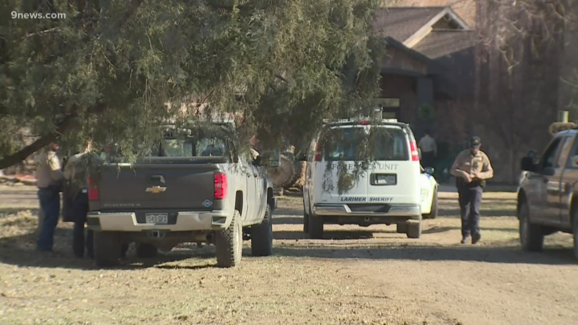 The mountain lion was killed after it attacked two people near Loveland earlier this week.