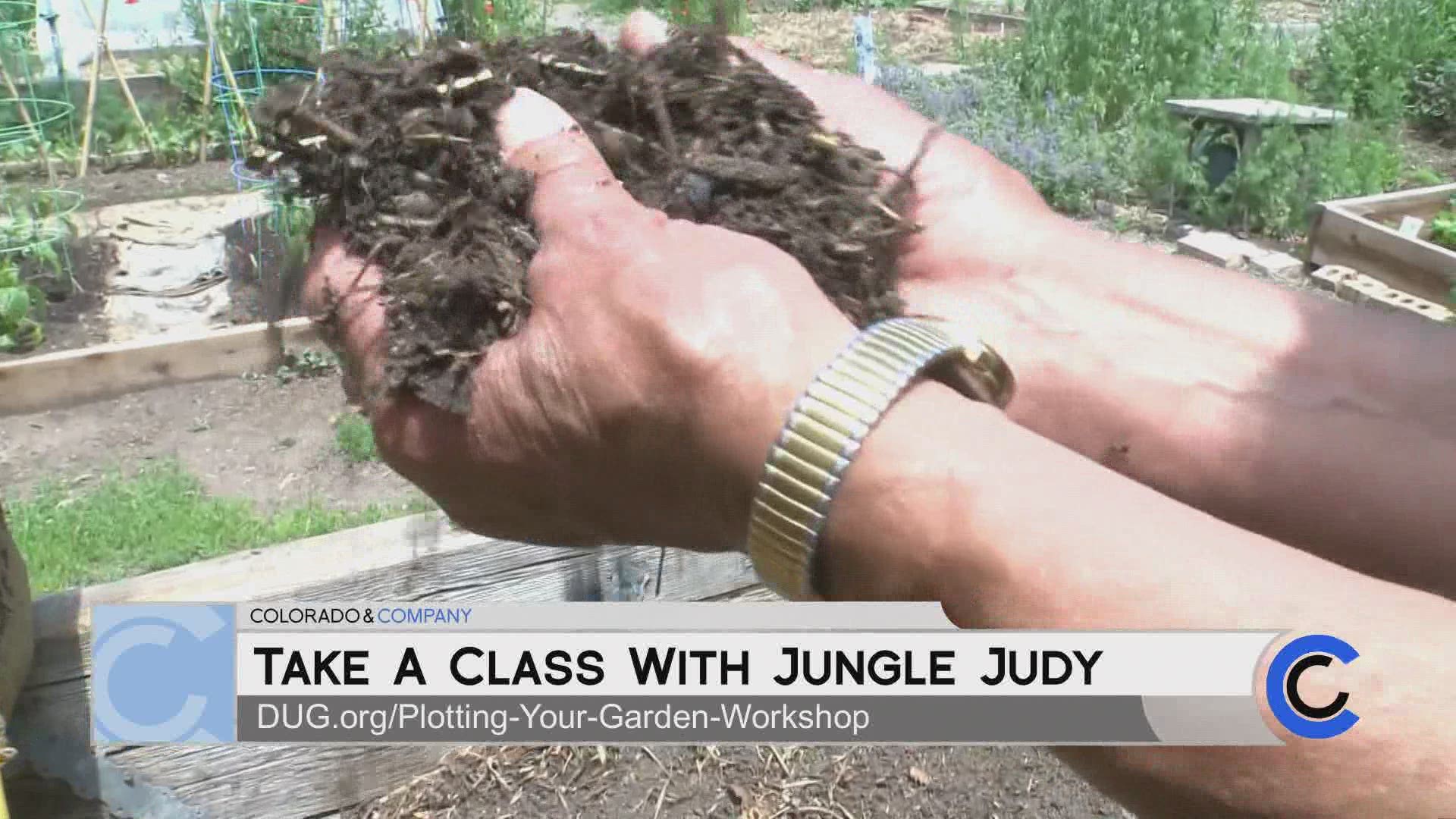 MEET THE COMMUNITY GARDENERS WHO WILL BE OFFERING TIPS AND TRICKS THAT MIGHT HELP YOUR GARDEN THRIVE THIS SUMMER IN THIS NEW SERIES WITH DENVER URBAN GARDENS.