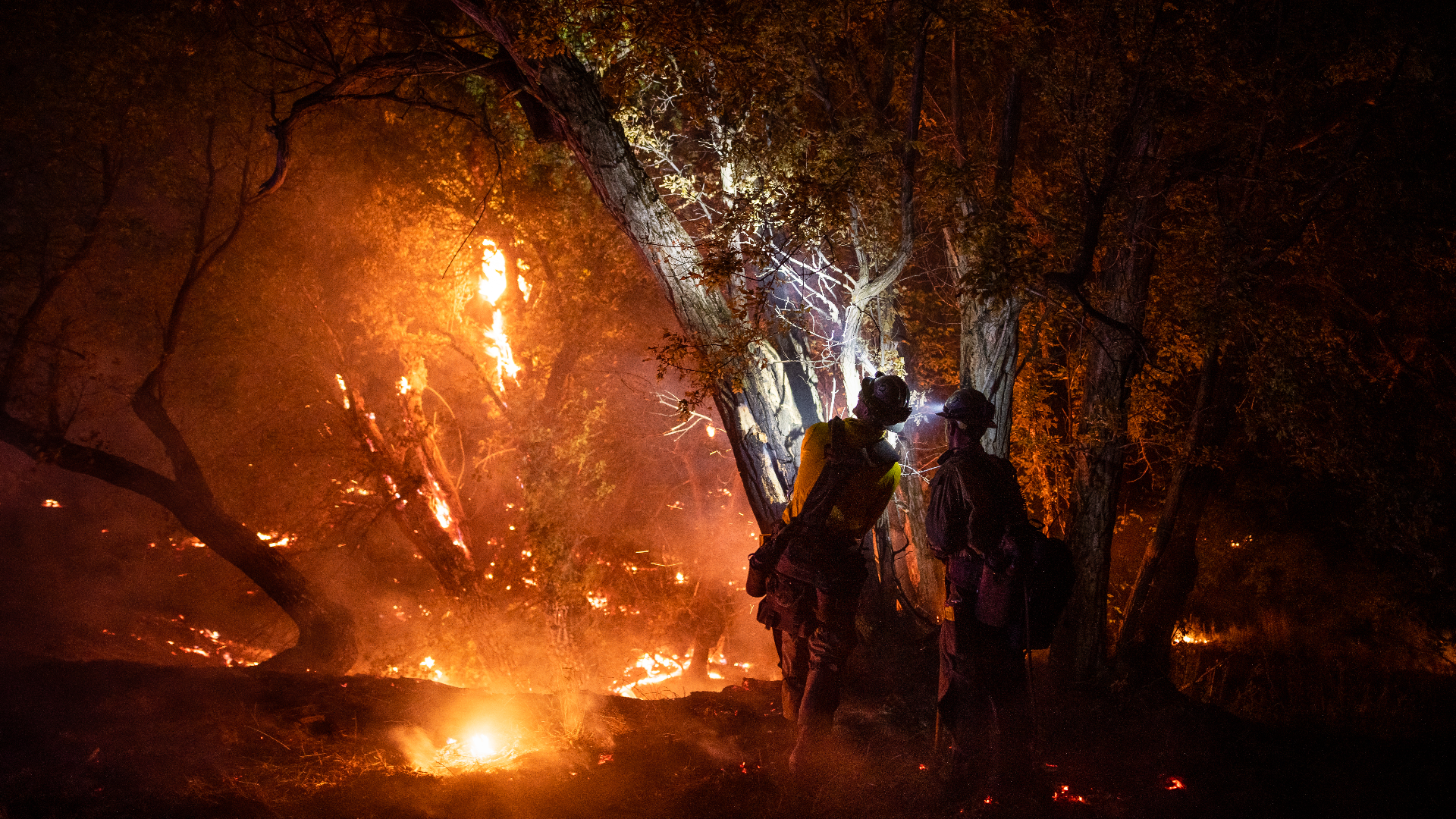 Updates on all the wildfires burning across Colorado | 9news.com