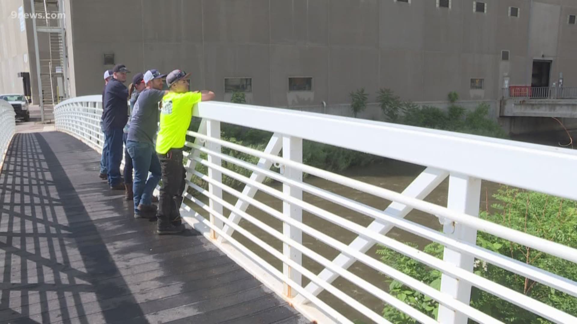 Employees of Coors Brewery in Golden rescued a woman from Clear Creek on Friday. They talked about how they jumped in the water to save her.