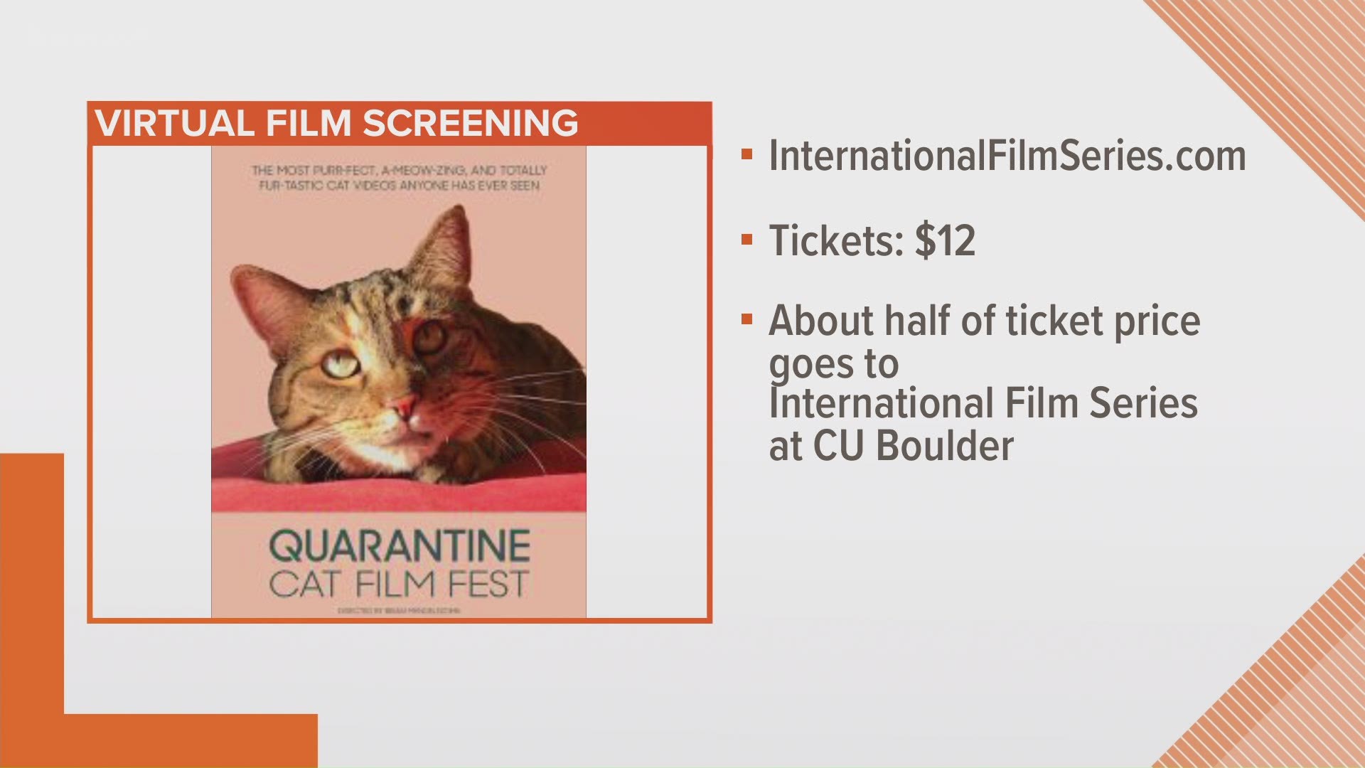 You can watch the Quarantine Cat Film Fest today, and about half of ticket proceeds will go towards the International Film Series at CU Boulder.