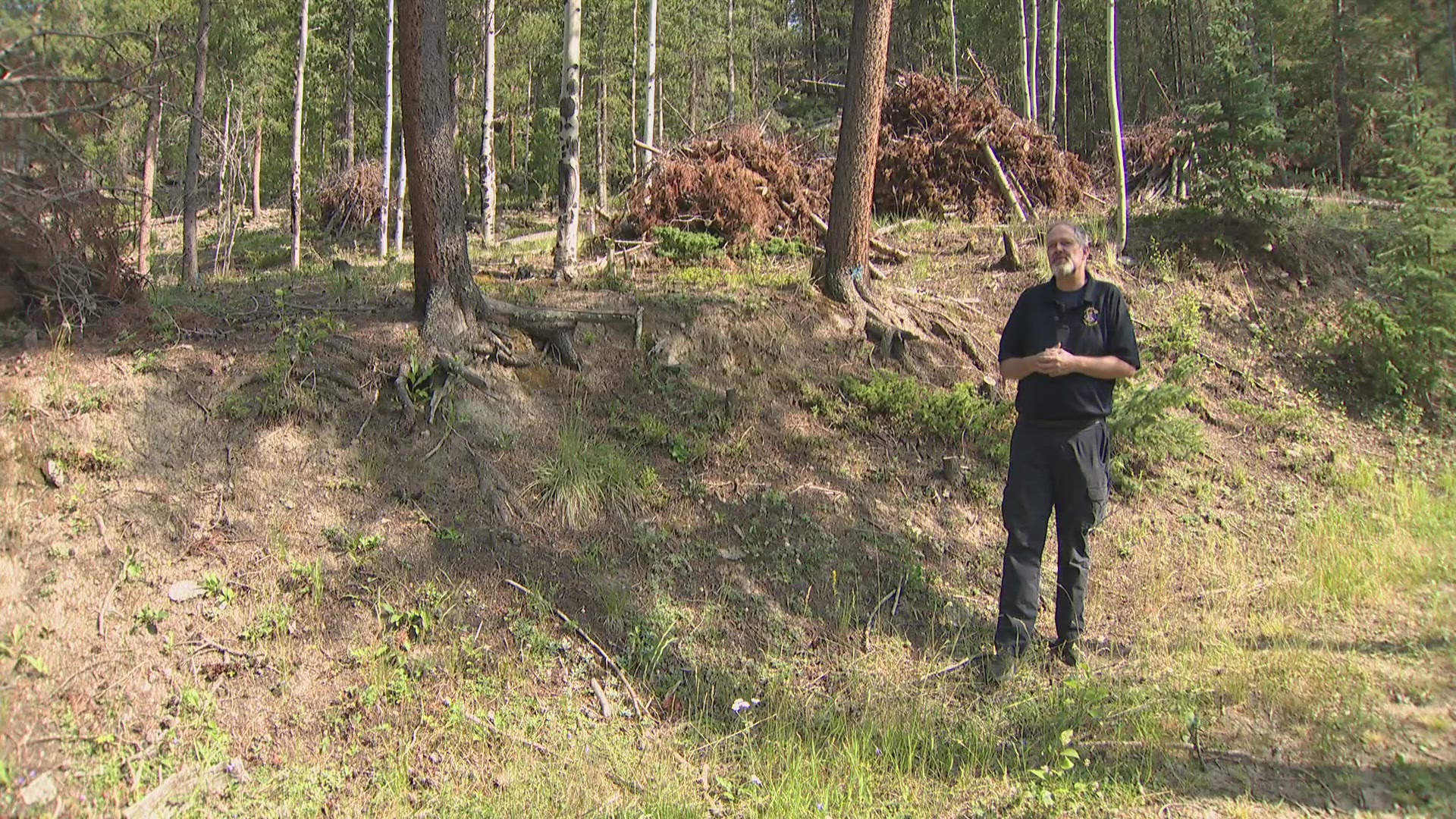 Evergreen Fire Rescue said they're getting questions about burn piles left out after forest mitigation, but they're part of a planned strategy.