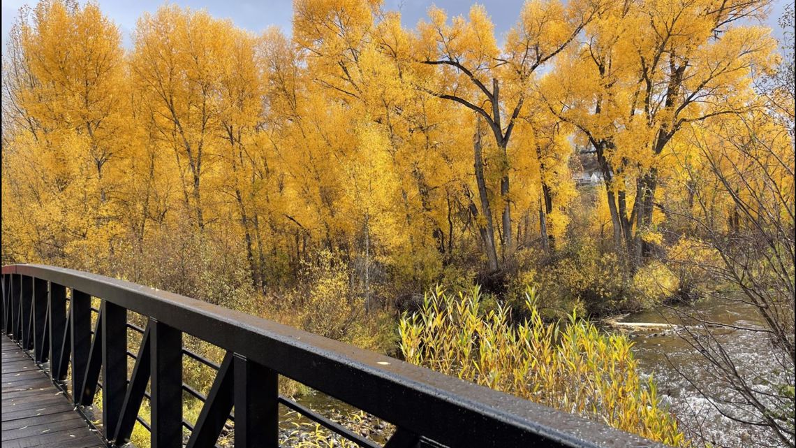 Afsky komponent kaste støv i øjnene 9 great walks to see fall colors in Denver