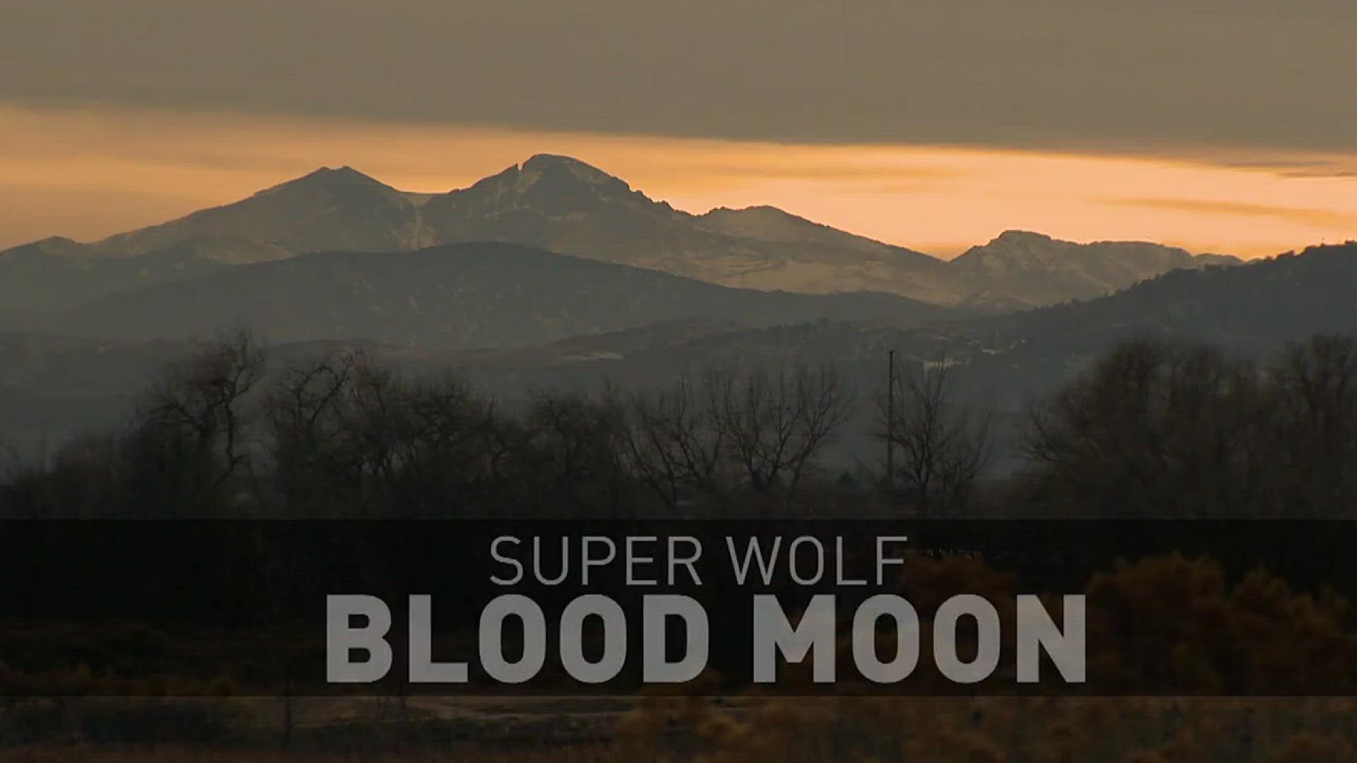 Revisit the rare Super Wolf Blood Moon with some excited folks in Fort Collins and meet a guitar kid with some serious talent to round out our staff picks for Monday, Jan. 21.