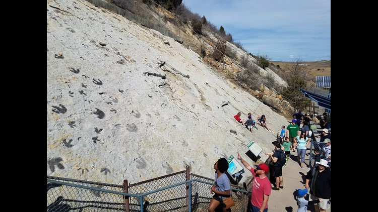 stegosaurus tracks