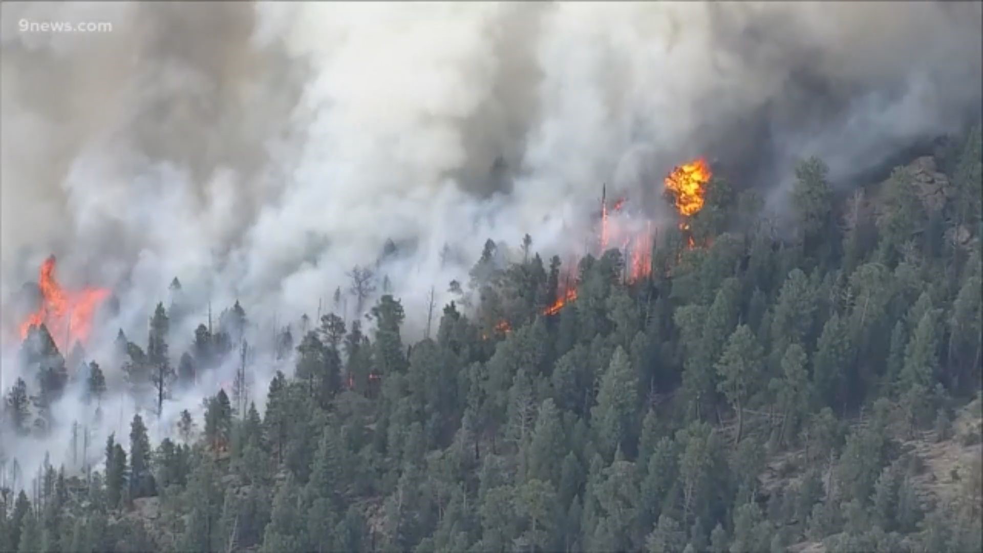 PHOTOS: Evacuations issued as wildfire burns near Evergreen | 9news.com