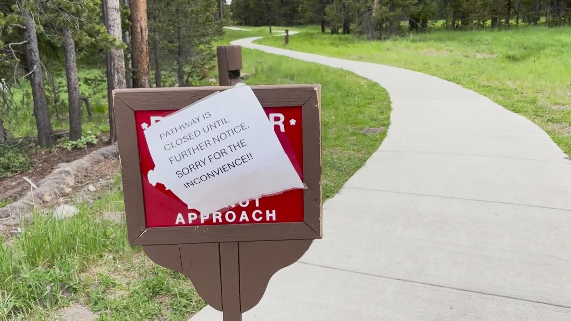 Park Ranger Injured In Yellowstone National Park Shooting | 9news.com