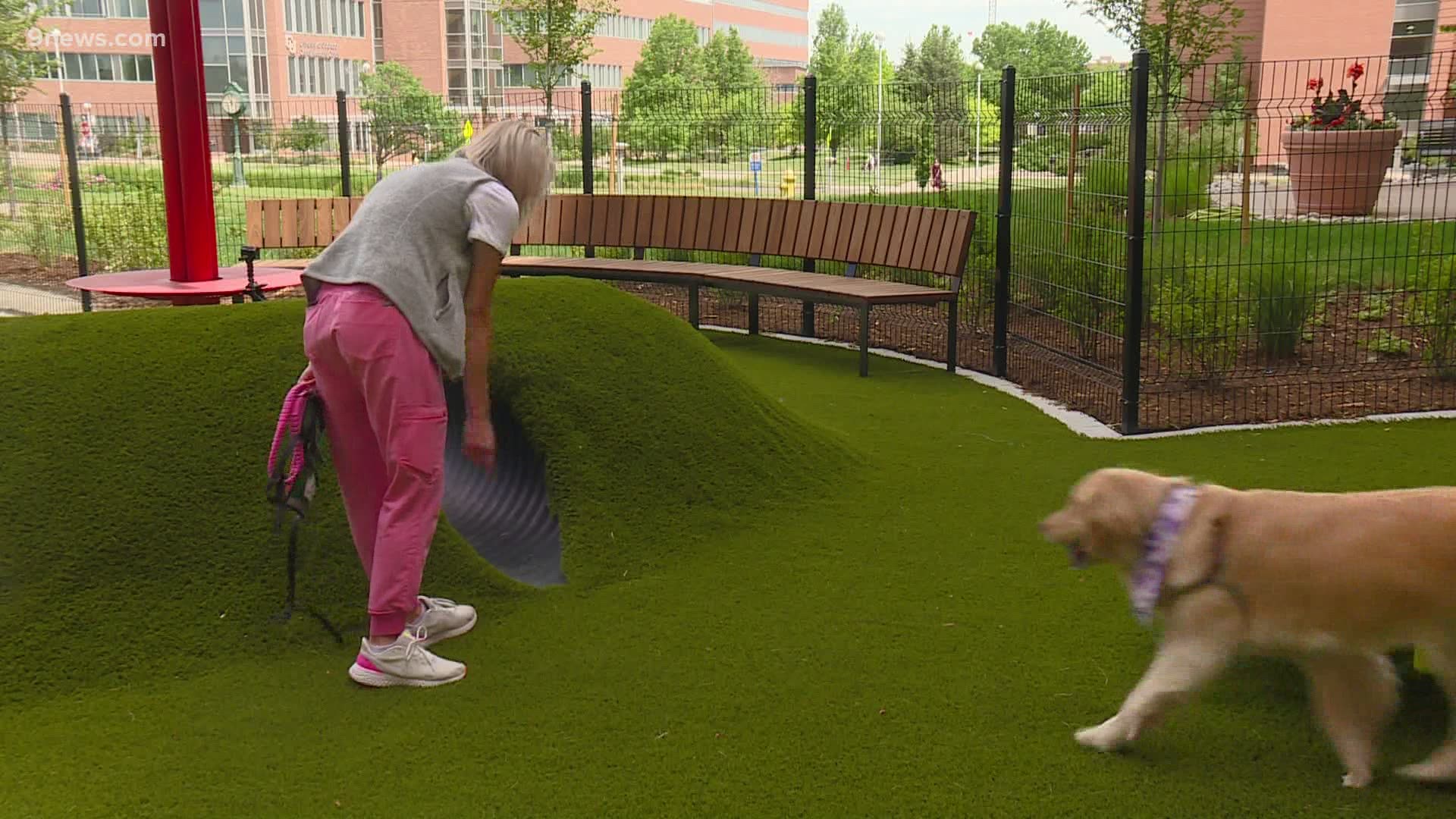 Children's Hospital Colorado builds a park for their medical dogs to rest during their shifts.
