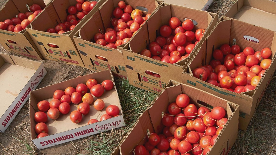 roma tomatoes sale near me