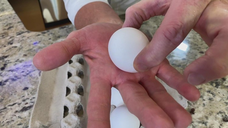 Science Minute: Egg experiments for Easter