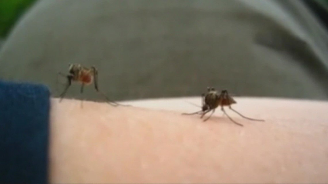 Colorado West Nile virus death - Vimarsana News