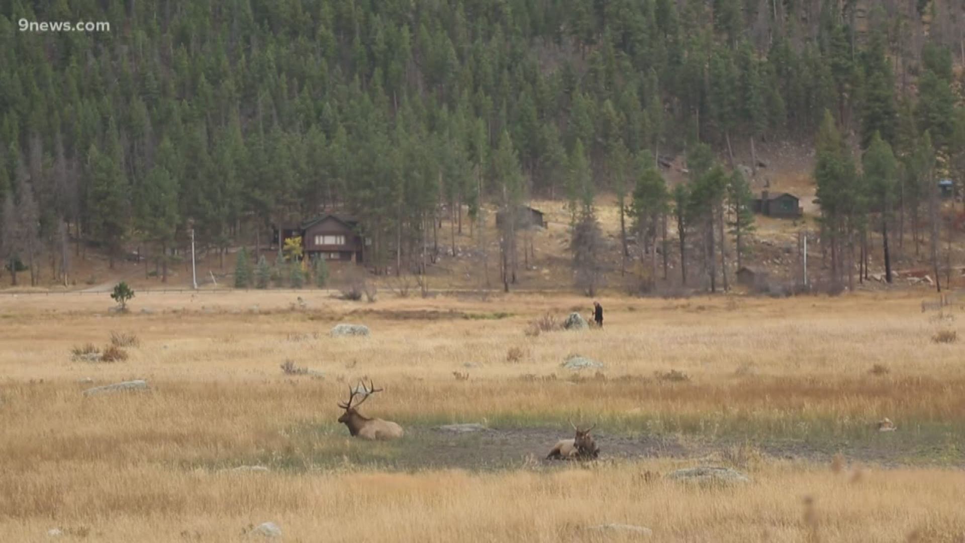 Multiple Colorado counties and National Forests have fire restrictions in place due to hot and dry conditions.