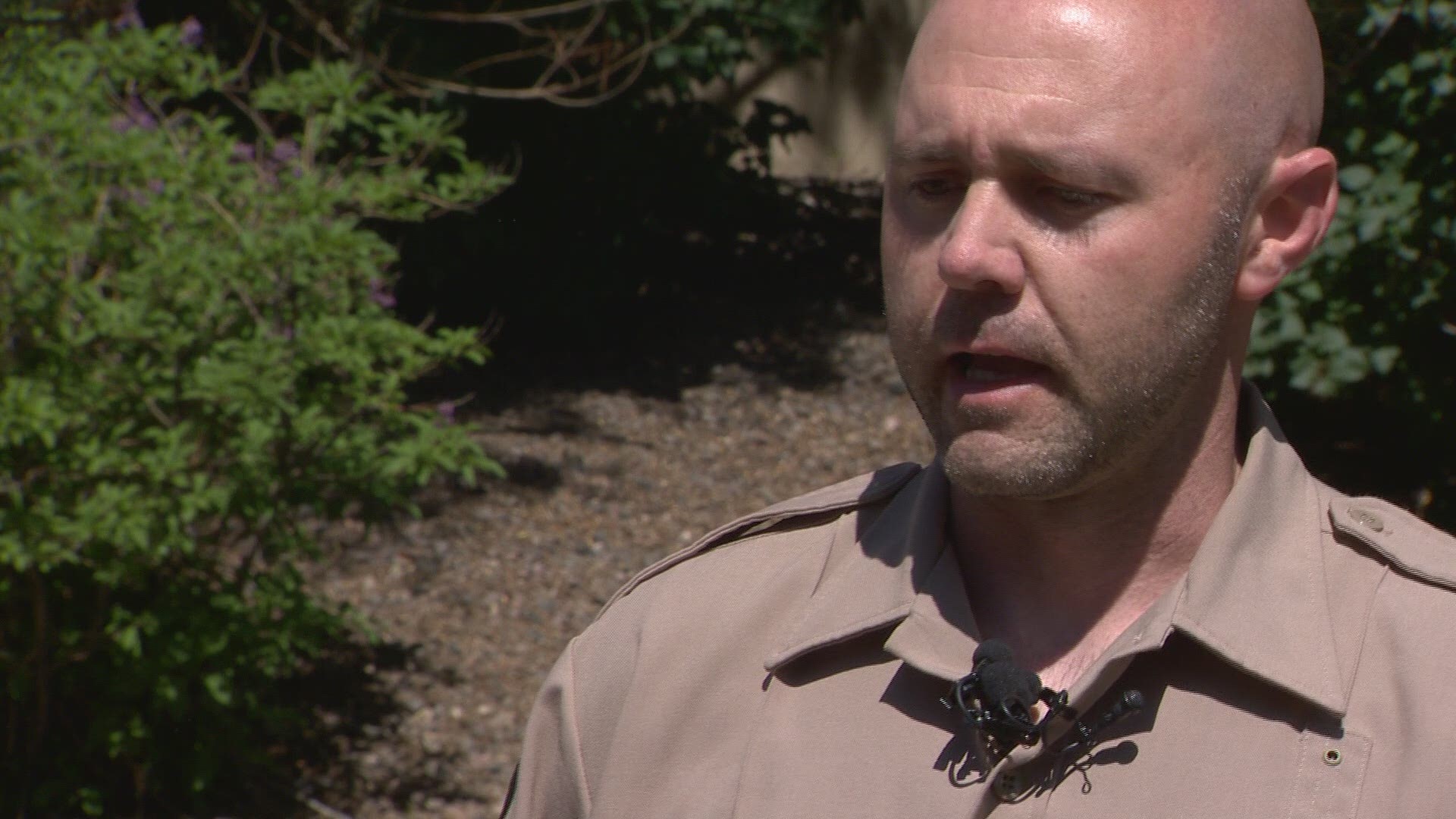 Jason Clay with Colorado Parks and Wildlife answers questions about a baby fawn who was born following a crash with a motorcycle on Thursday morning.