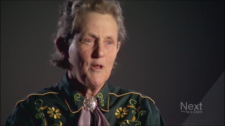 Dr. Temple Grandin to serve as Stock Show Parade Grand Marshal