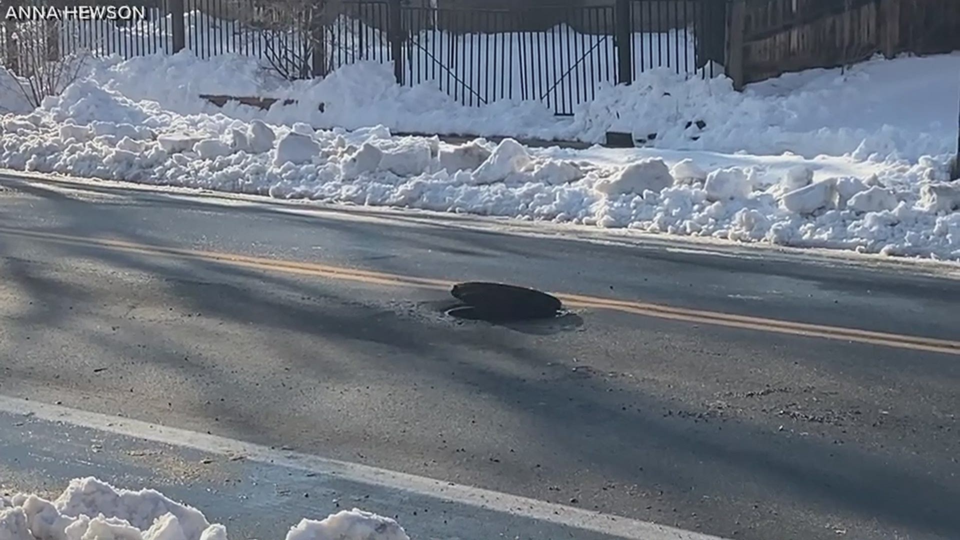 Photojournalist Anna Hewson saw this dancing slab of iron on 50th Avenue in Denver. It's either a ghost, a scary clown or an air bubble. Denver Water says bubble.