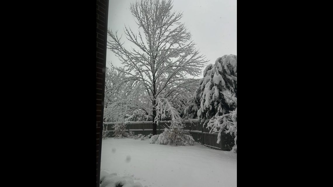 Business, school closings, delays in Colorado and Denver Thursday