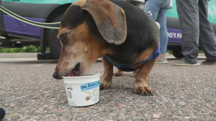 Denver has a dog treat food truck