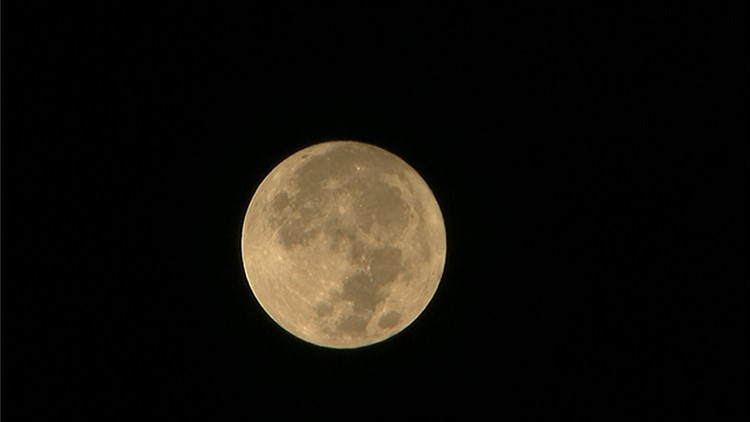 You Can Still See The Pink Moon Tonight 9news You Can Still See The Pink Moon Tonight