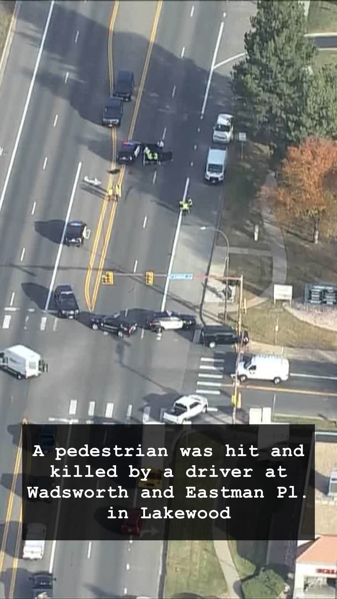 Pedestrian hit and killed by driver in Lakewood | 9news.com
