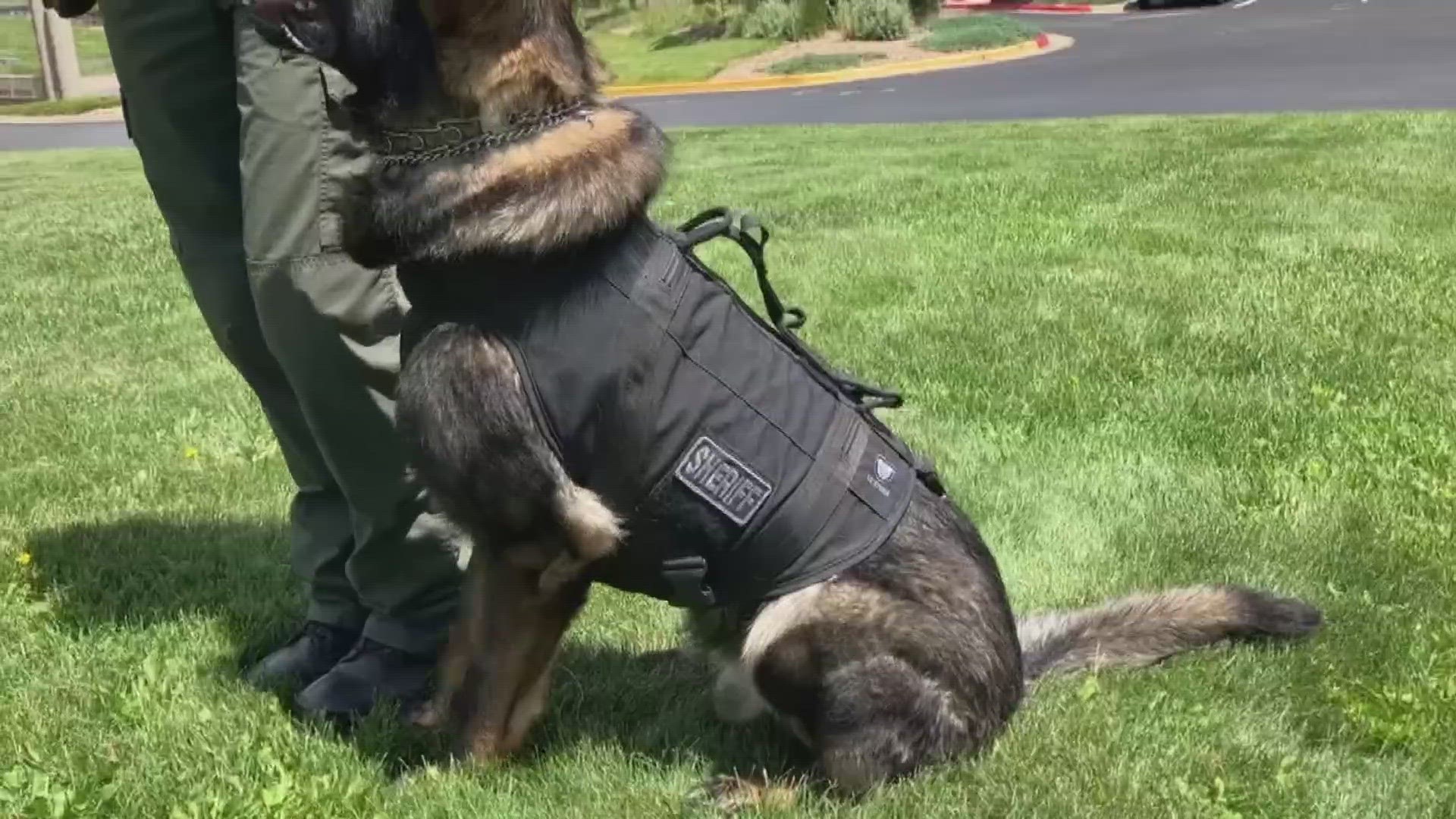 The hospital was able to raise around $7,600 to buy new stab and ballistic resistant K9 vests for two furry officers, K9 Anton and K9 Axel.