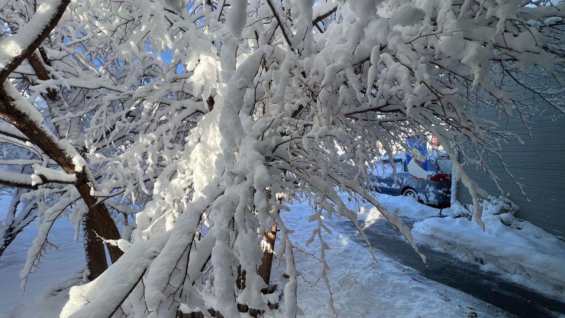 Colorado Snow Totals: Here's How Much Snow Fell In Jan. 18 Storm ...