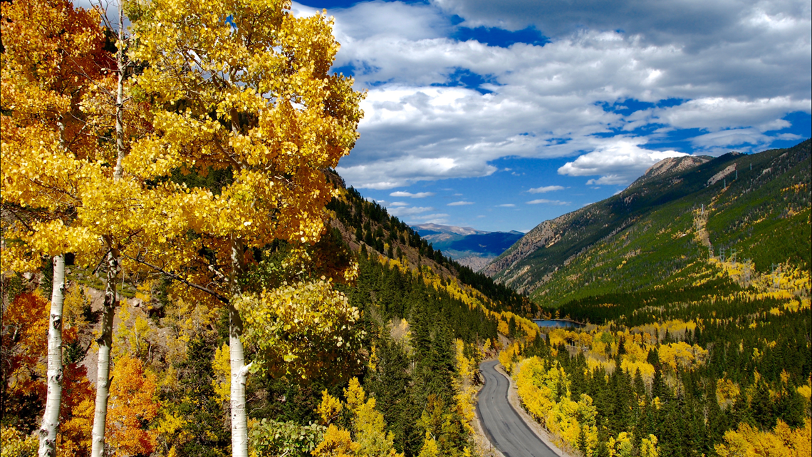 Colorado fall colors: Expect a great year for leaves in the state