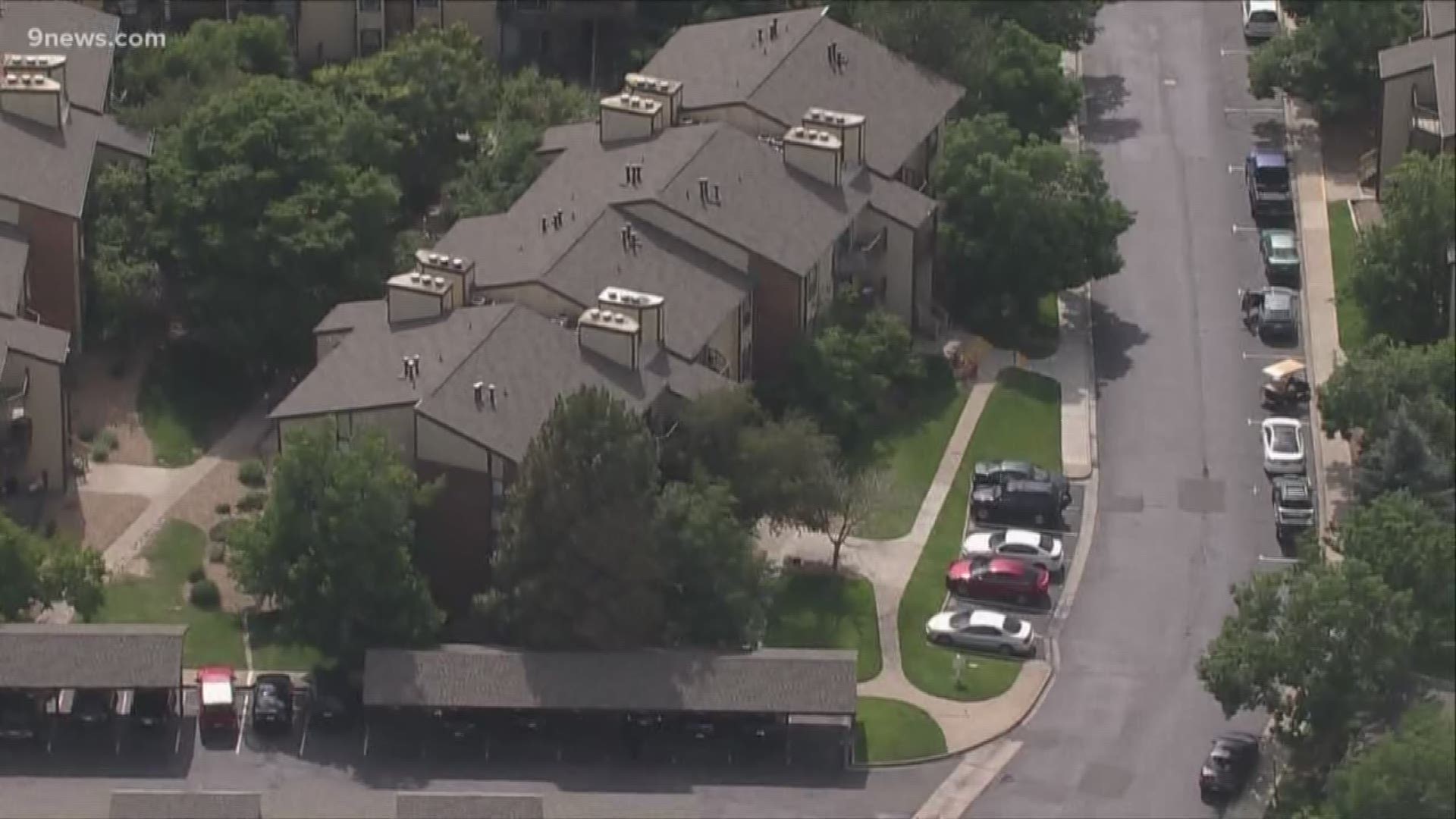 A 26-year-old DOC officer is in custody after a shooting at the Greensview Apartment Complex.