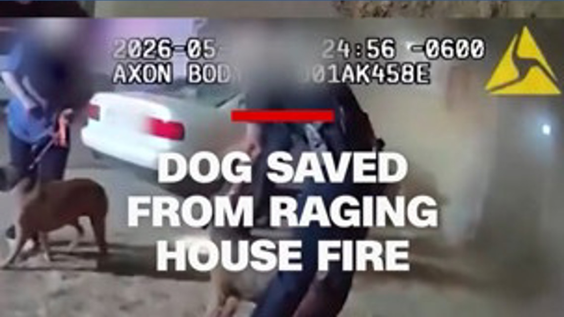 Dog saved from house fire | 9news.com